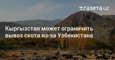 Кыргызстан может ограничить вывоз скота из-за Узбекистана