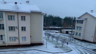 В Воронеже выпал первый снег