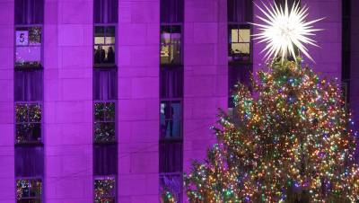 В Нью-Йорке установили главную рождественскую ель США