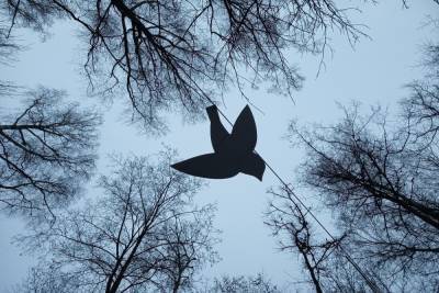 В Тульской области завершается сезон охоты на птицу