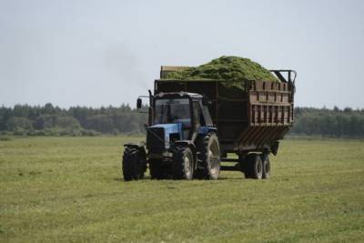 Создание сельскохозяйственных кооперативов упростят в России