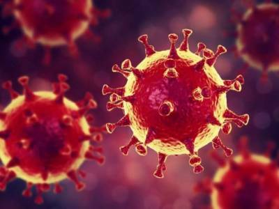 В мире коронавирусом заболели почти 54 миллиона человек