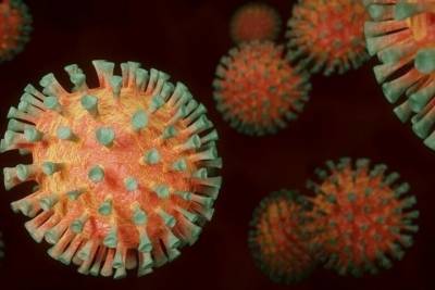 В Крыму за сутки выявили более 200 эпизодов коронавируса