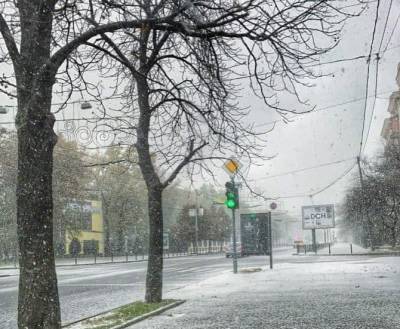 В Харькове выпал первый снег фото, видео