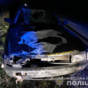 На запорожской трассе пьяный водитель «Audi» сбил насмерть велосипедиста. Фото