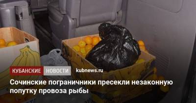 Сочинские пограничники пресекли незаконную попутку провоза рыбы