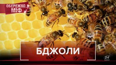 Любят ли пчелы запах алкоголя: известные факты и мифы о насекомых, в которые вы верили