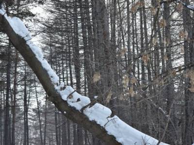 В Башкирии семейная пара застряла в снегу на внедорожнике