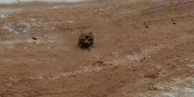 В России обледенелую дорогу посыпали песком с человеческими костями
