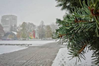 В нескольких городах Украины выпал первый снег: фото и видео