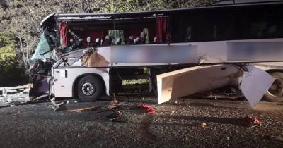 В Запорожской области рейсовый автобус с пассажирами влетел в трактор — есть погибший (5 фото)