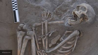 Обледенелую дорогу под Иркутском посыпали песком с человеческими костями