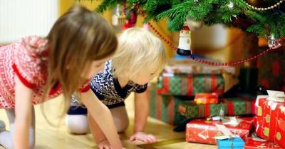 Опрос: почти половина латвийцев собираются покупать подарки к Рождеству в интернете