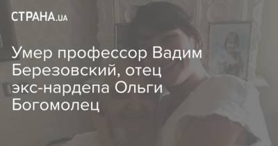 Умер профессор Вадим Березовский, отец экс-нардепа Ольги Богомолец