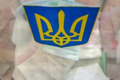 В Киевской области задержали организатора "карусели" во время второго тура выборов