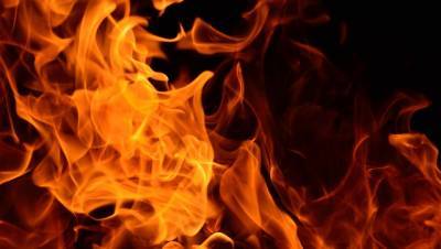 В Днепропетровской области на пожаре погибли трое малолетних детей