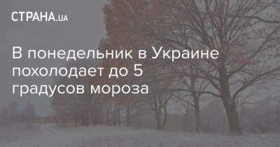 В понедельник погода в Украине опустится до 5 градусов мороза - strana.ua - Украина - Киев
