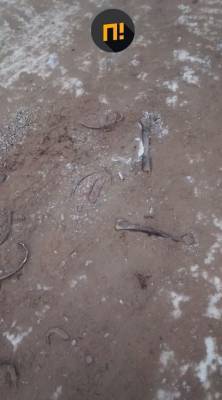 В Иркутской области дорогу посыпали песком с человеческими останками