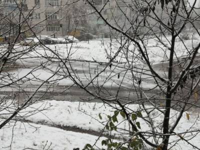 Несколько украинских городов накрыл снегопад: во дворах появились первые снеговики (ФОТО)