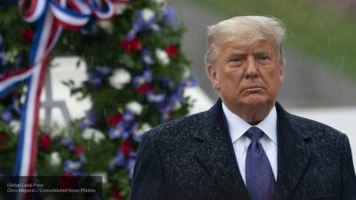 Трамп объявил о намерении подать "крупные иски" о нарушениях на выборах