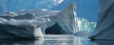 Подо льдом Гренландии найден неповрежденный архив доисторических ископаемых