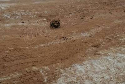 Обледеневшую дорогу под Иркутском посыпали песком с человеческими костями