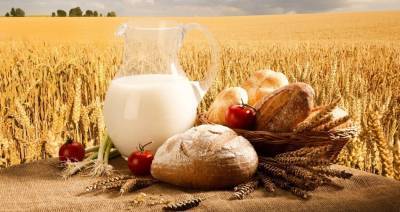 Сельхозпроизводство составляет около 6 % ВВП Беларуси