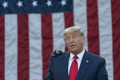 Трамп заявил о «небывалых нарушениях» конституции США в рамках прошедших выборов