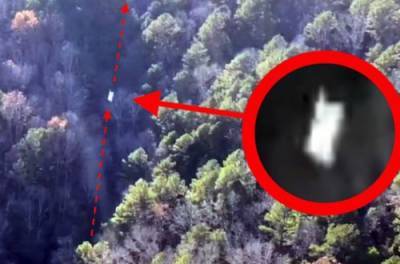 В США беспилотник заснял НЛО, вылетающий из леса. ВИДЕО