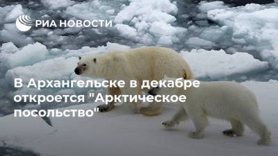 В Архангельске в декабре откроется "Арктическое посольство"
