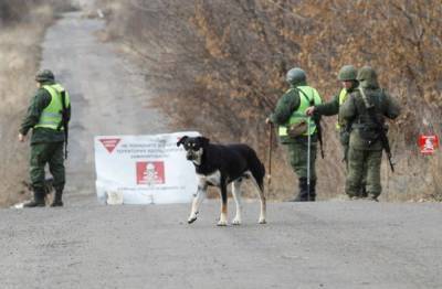 Сводка ООС: боевики стреляли неподалеку Марьинки и Старогнатовки