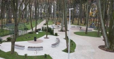 В Парке пяти чувств в Гурьевске появился мост для велосипедистов (фото)