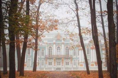 Тепло и сухо будет в Петербурге 16 ноября