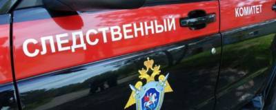 В Свердловской области задержали подозреваемого в убийстве 11-летней девочки