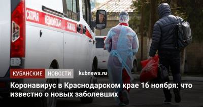 Коронавирус в Краснодарском крае 16 ноября: что известно о новых заболевших