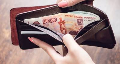 Более половины россиян хотят получать зарплату каждый день – исследование