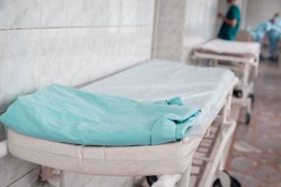 В Чувашии за два дня от коронавируса умерли 17 человек