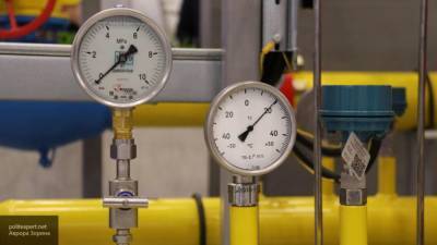 Турция купила у "Газпрома" максимальный с начала года объем газа