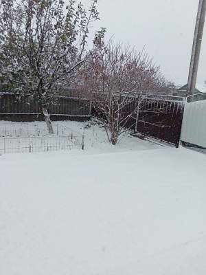 В Ростовской области выпал первый снег