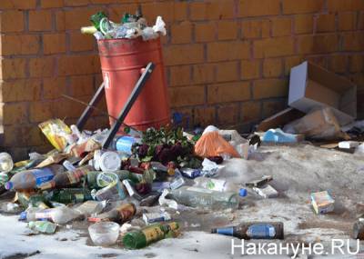Для россиян могут ввести ответственность за неправильно выброшенный мусор