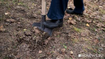 В Санкт-Петербурге нашли тело закопанной в землю по шею женщины