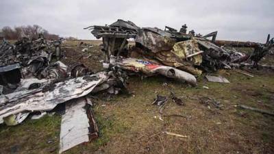 Голландский журналист рассказал о работе западных спецслужб в деле MH17