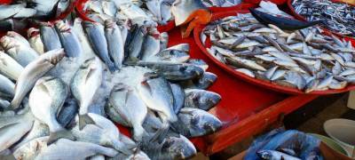 Предпринимателя из Карелии оштрафовали за рыбу сомнительного качества