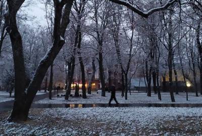 Пока все харьковчане спали: город начало засыпать снегом, завораживающие фото