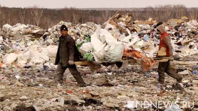 В России станет вдвое меньше мусорных полигонов.В РЭО объяснили, кто должен ими заниматься