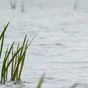 В Запорожской области в реке Конка утонула 35-летняя женщина