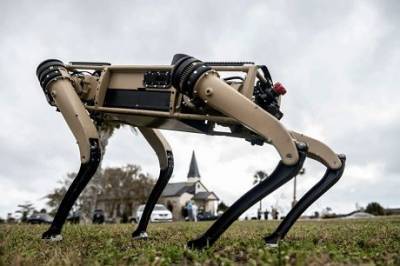 ВВС США официально сообщили об использовании роботов-собак в патрулировании (ФОТО)