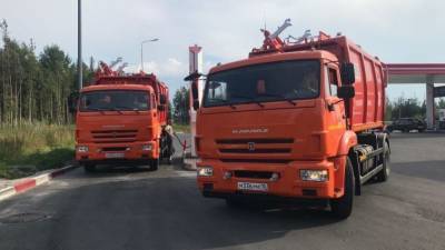 Тарифы на вывоз мусора повысятся в России с 2021 года