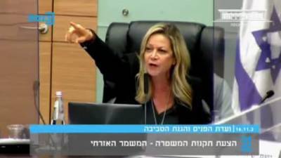 Скандал в кнессете: Мики Хаймович с криками выгнала из зала заседаний депутата от Ликуда