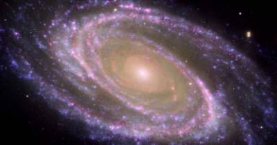 Ученые раскрыли генеалогическое древо Млечного Пути, пожиравшего галактики целиком